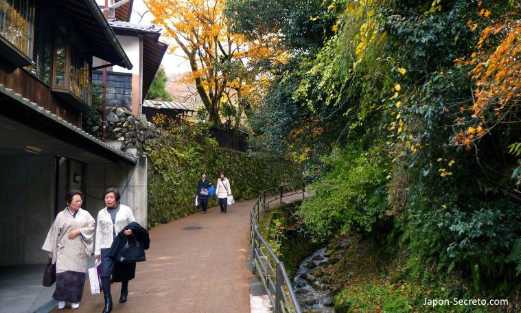 Momiji en Ohara, un pueblo cerca de Kioto en la montaña. Japón rural en otoño.