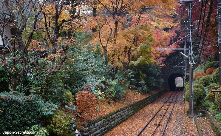 Teleférico del Monte Takao o Takaosan en Tokio. Colores del otoño. Momiji.