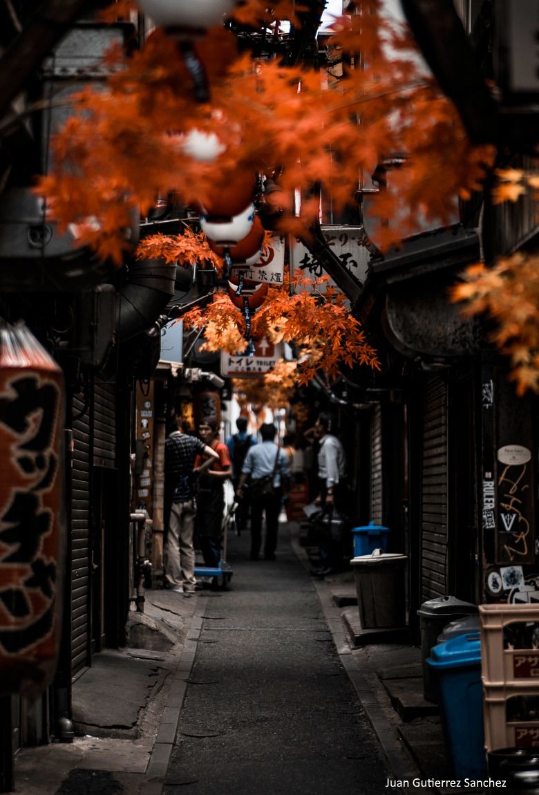Callejón Shinjuku Omoide Yokocho (Kabukicho). Decoración de otoño. Foto: Juan Gutierrez Sanchez (@johnzlights)