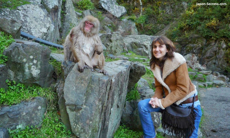 Parque de Macacos monos de Jigokudani en Yamanouchi. Shibu, Yudanaka. Nagano. Montaña. Paisaje otoño.