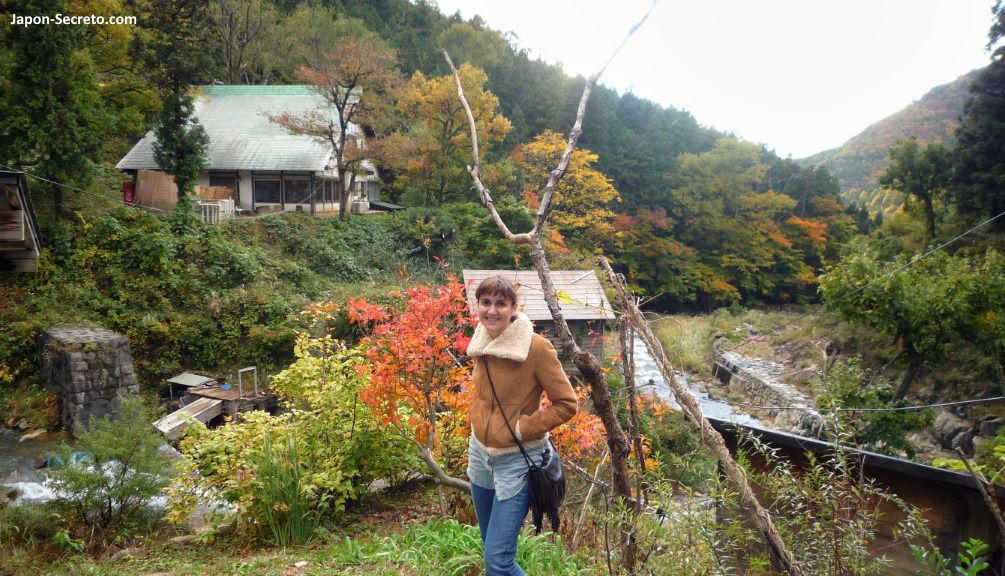 Parque de Macacos monos de Jigokudani en Yamanouchi. Shibu, Yudanaka. Nagano. Montaña. Paisaje otoño. Momiji. Senderismo