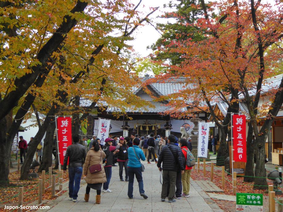 Interior del castillo de Ueda (Nagano) en otoño. Momiji.
