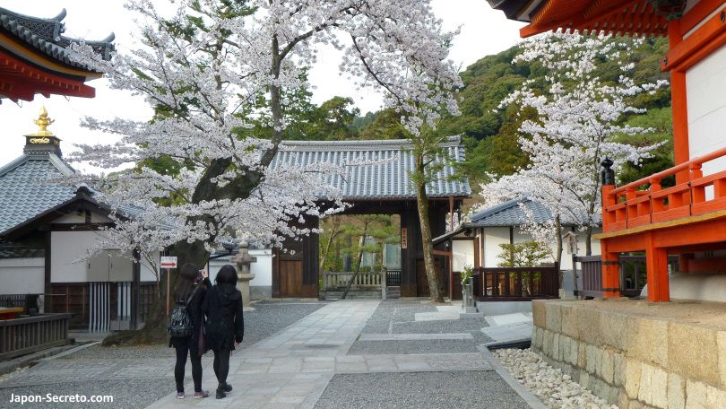 Chicas fotografiando los cerezos en flor del templo Kiyomizudera. Higashiyama, Kioto