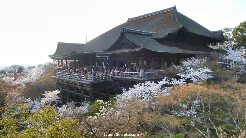 Templo Kiyomizudera (Kioto) durante la época de lo cerezos sakura en flor