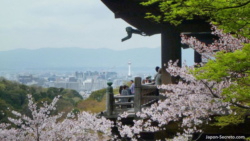 Terraza del templo Kiyomizudera en abril. Cerezos en flor. Sakura. Vistas de Kioto