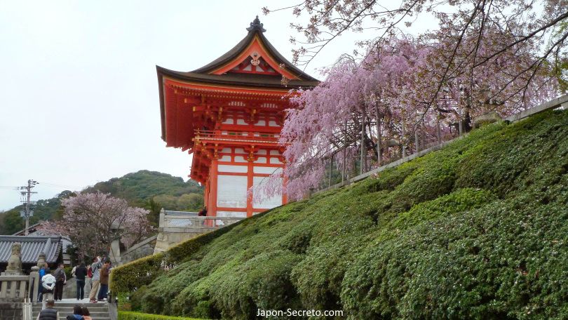 Puerta Niomon en primavera. Flores de cerezo. Templo Kiyomizudera. Higashiyama. Kioto