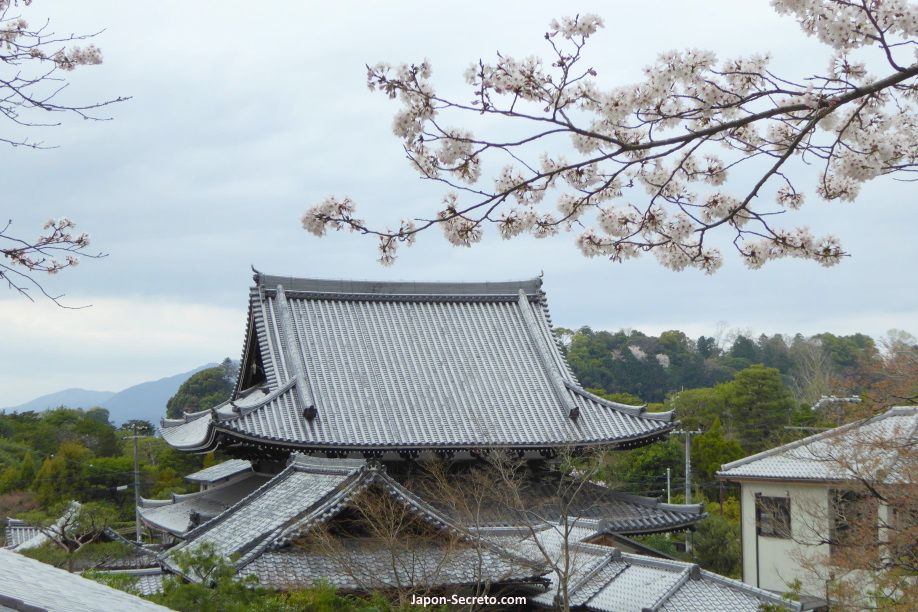 Templo visto desde el Paseo de la Filosofía. Kioto. Flores de cerezo.