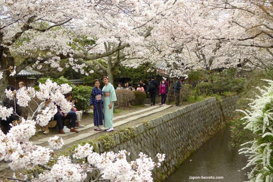 Itinerarios de sakura por Kioto: paseando en kimonos por el Paseo de la Filosofía (Testugaku No Michi), Kioto