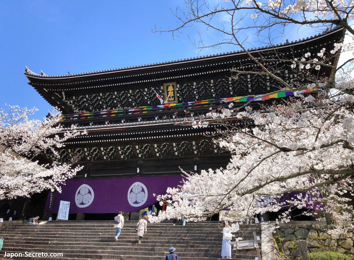 Itinerarios de sakura por Kioto: templo Chionin y puerta Sanmon en primavera 