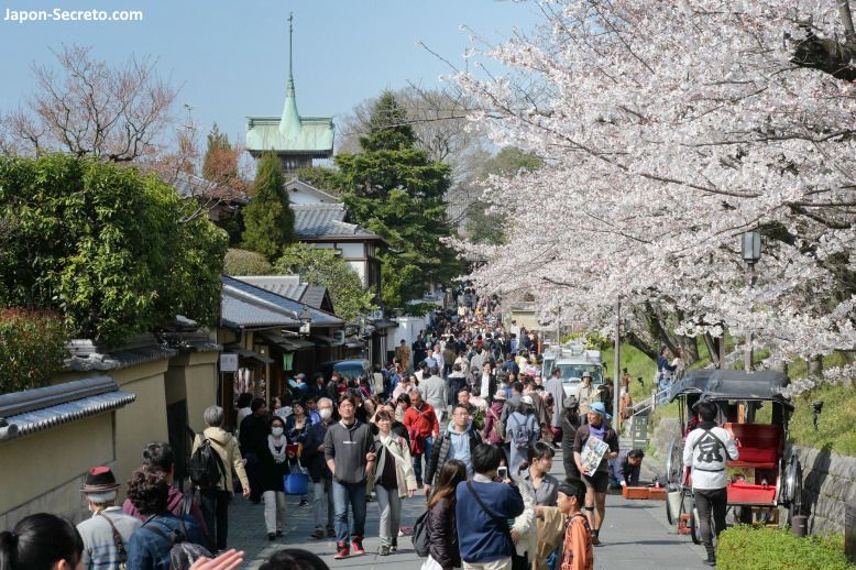 Cerezos en flor en una calle del distrito de Higashiyama, Kioto.