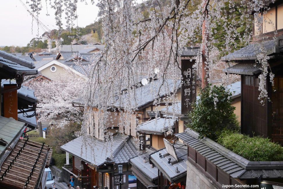 Calle Sannenzaka con cerezos en flor. Higashiyama, Kioto