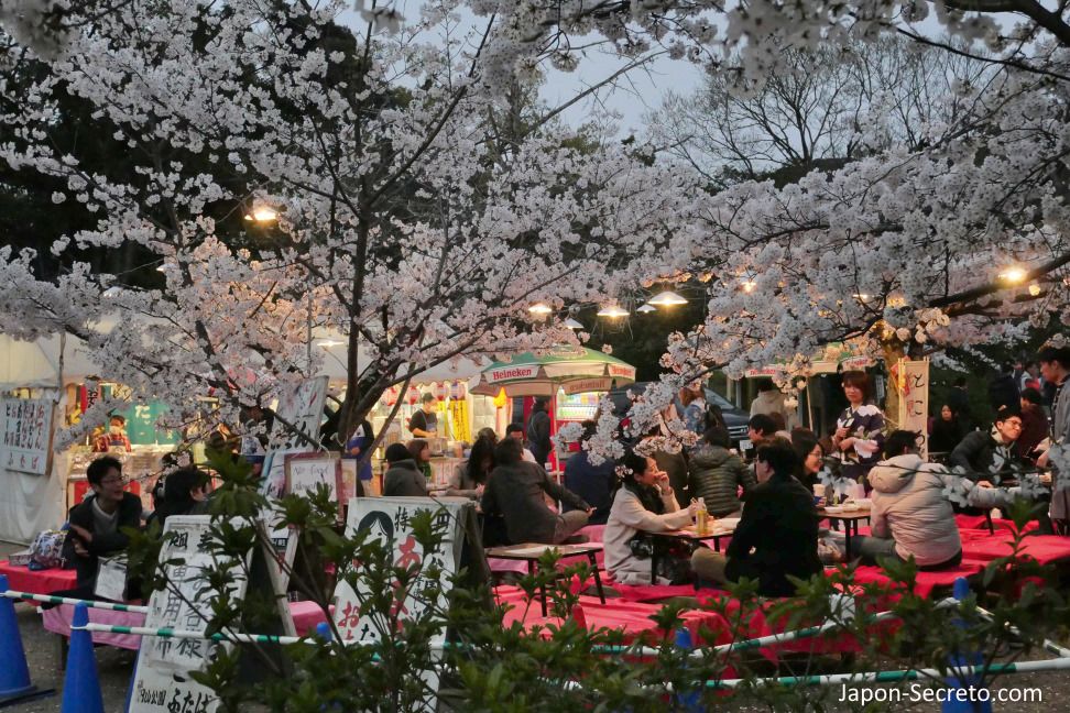 Itinerarios de sakura por Kioto: Yozakura (hanami nocturno) en el parque Maruyama. Higashiyama