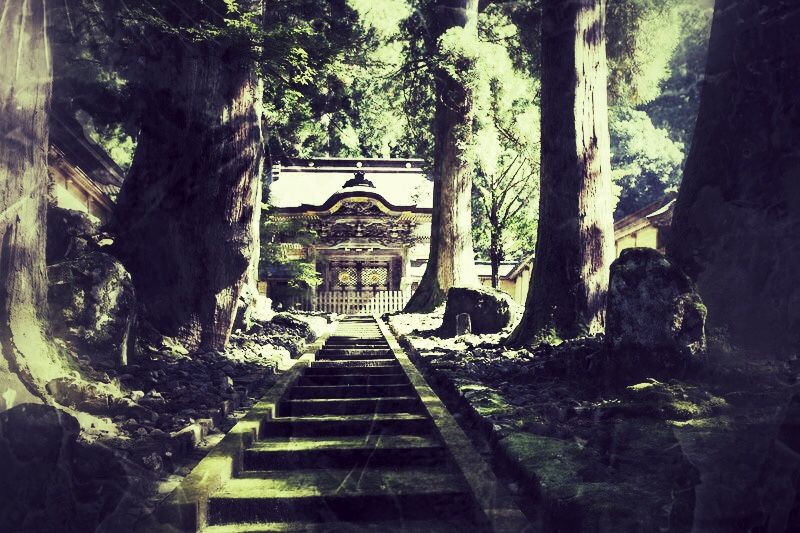 Templo Eiheiji (Fukui, Japón). Budismo zen.