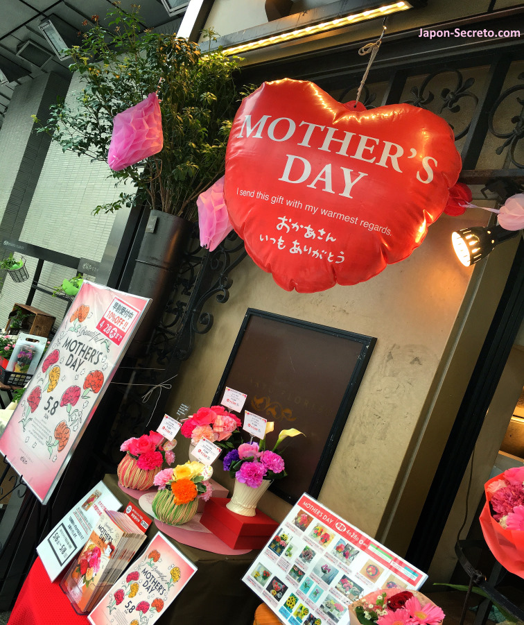 Día de la madre en Japón (Haha No Hi). Claveles