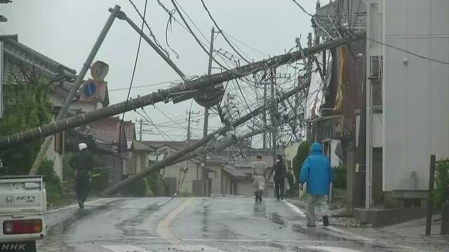 Postes derribados por un tifón