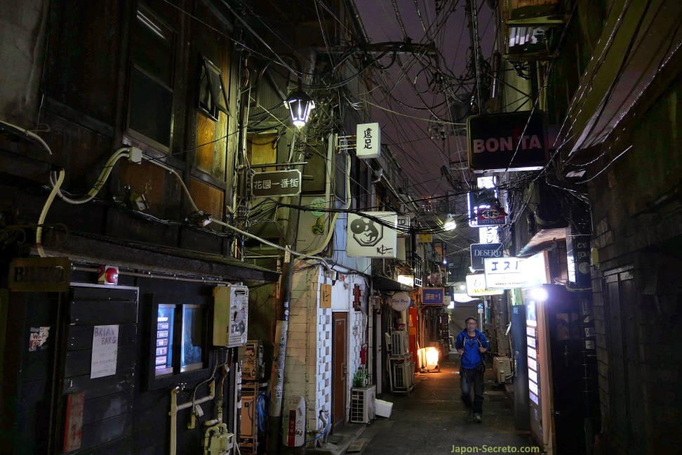 Vida nocturna en los callejones de bares de Kabukicho