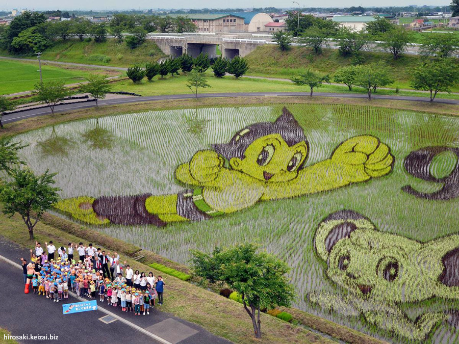 Tanbo art: tapiz gigante creado en un arrozal. Inakadate (Aomori, Tohoku)