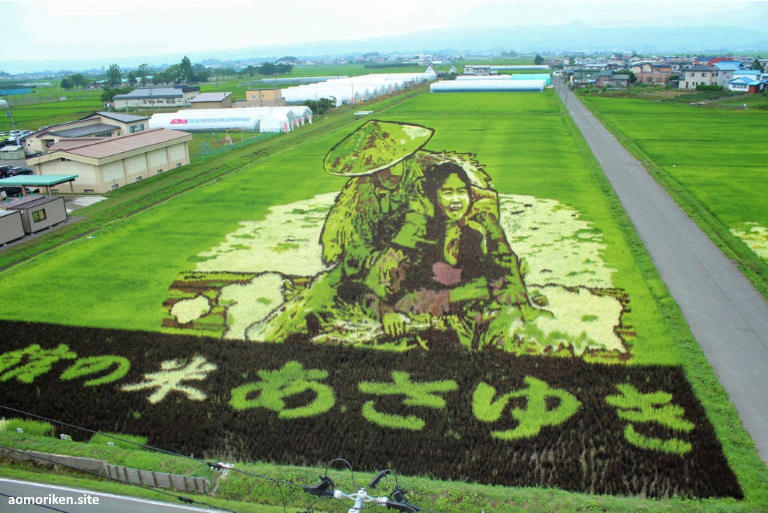 Tanbo art: tapiz gigante creado en un arrozal. Inakadate (Aomori, Tohoku)