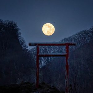Torii y luna llena durante el mes de septiembre en Japón