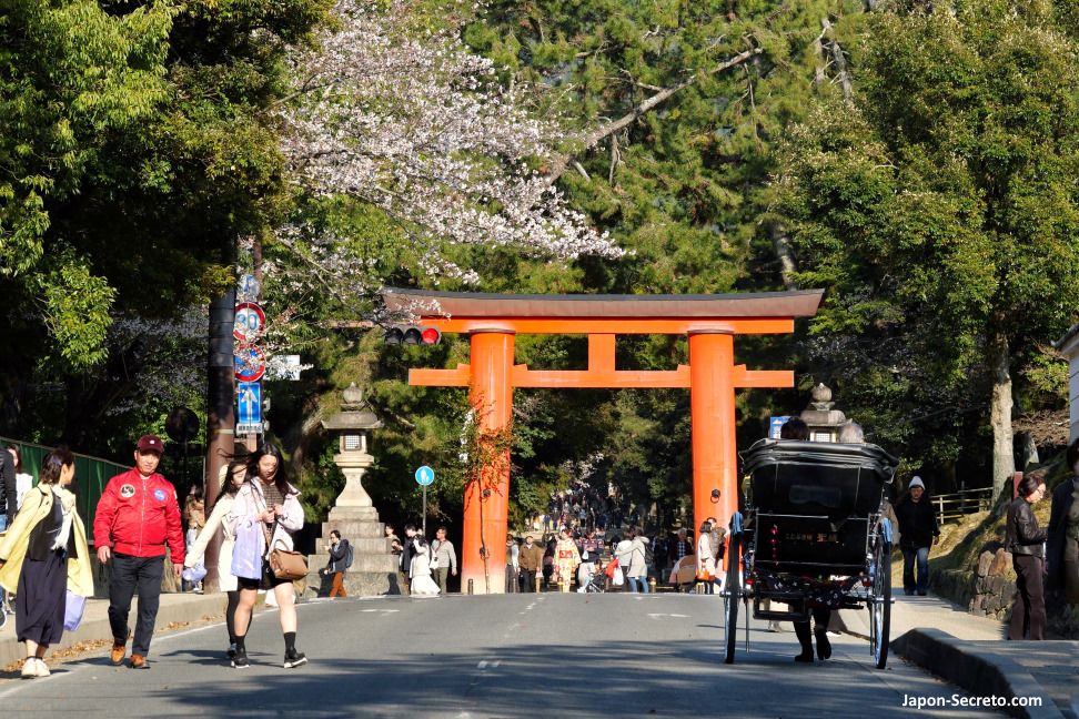 Torii de acceso al parque de Nara y el santuario Kasuga Taisha
