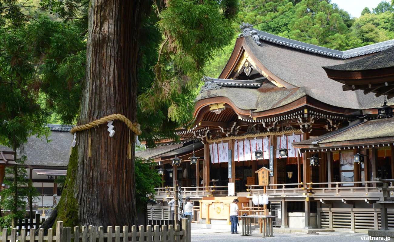 Santuario Omiwa jinja de Sakurai (Nara). Edificio principal o haiden