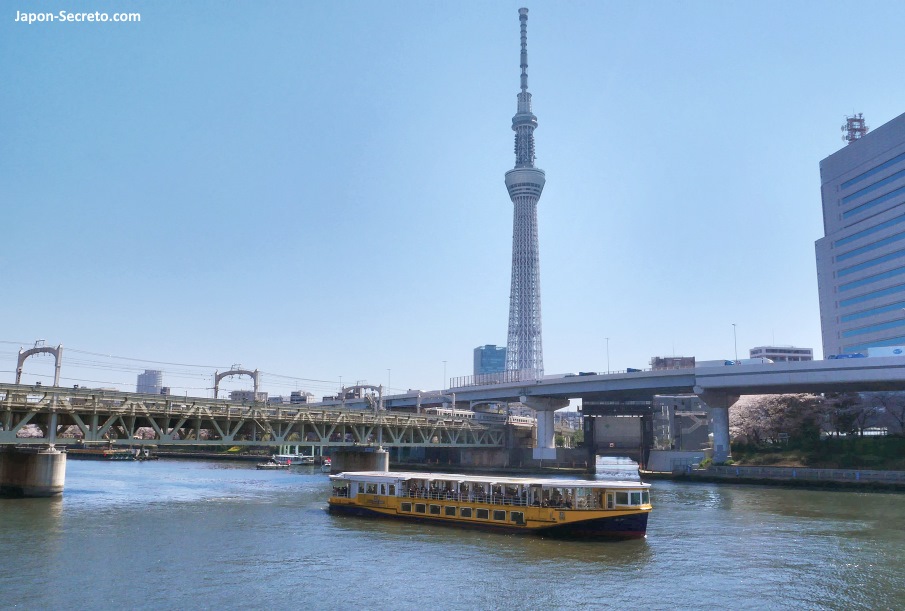 Dormir en Asakusa: crucero por el río Sumida desde Asakusa (Tokio). Vista de la torre Tokyo Skytree