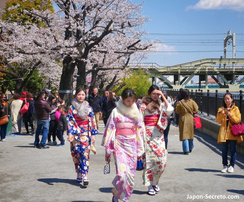 Paseo por el parque Sumida (Asakusa) en kimono en primavera.