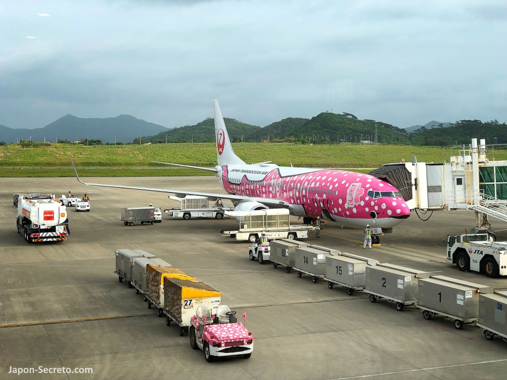 Avión de vuelo doméstico JAL en el aeropuerto de Ishigaki (Okinawa, Japón)