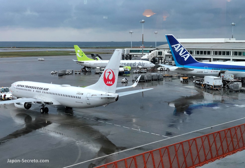 Aviones de JAL y ANA en el aeropuerto de Naha (Okinawa, Japón)