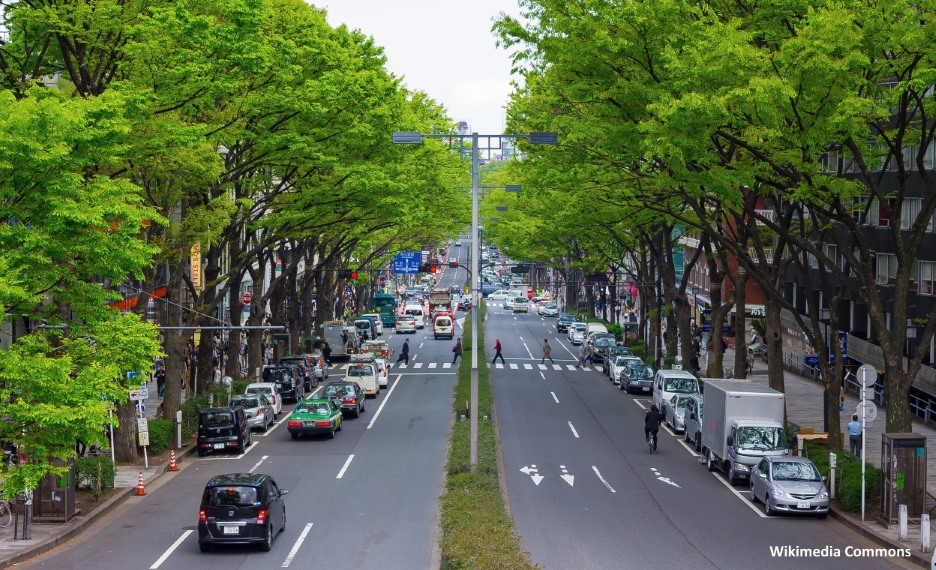 Avenida Omotesando (Tokio)