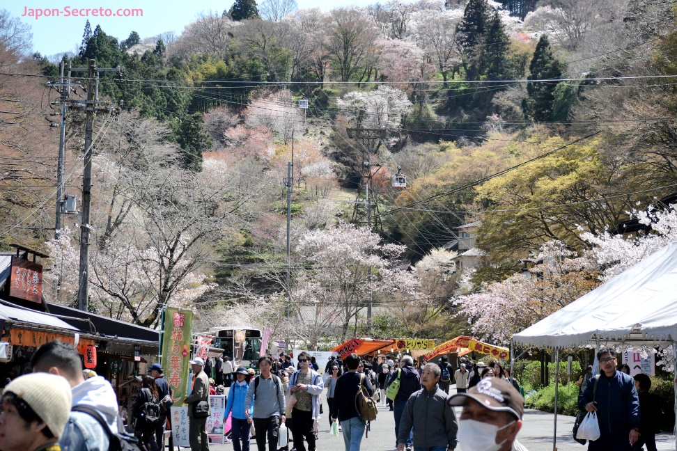 Muchos visitantes en el monte Yoshino o Yoshinoyama (Nara) durante el florecimiento de los cerezos. Teleférico al fondo.