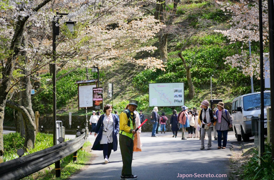 Indicaciones para aparcar en el monte Yoshino o Yoshinoyama (Nara) durante el florecimiento de los cerezos