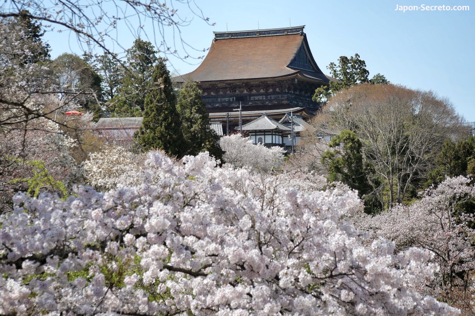 Vista del templo Kinpusenji (Yoshino, Nara). Edificio principal. Cerezos en flor