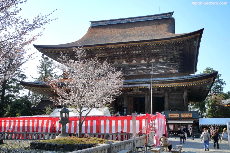 Templo Kinpusenji (Yoshino, Nara). Edificio principal (Tera Zaōdō, 寺蔵王堂). Cerezos en flor