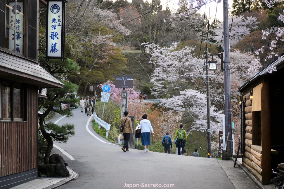 Ruta a pie por el Monte Yoshino o Yoshinoyama (Nara) durante el florecimiento de los cerezos