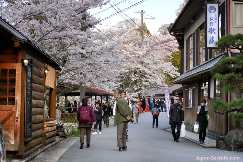 Monte Yoshino o Yoshinoyama (Nara) durante el florecimiento de los cerezos