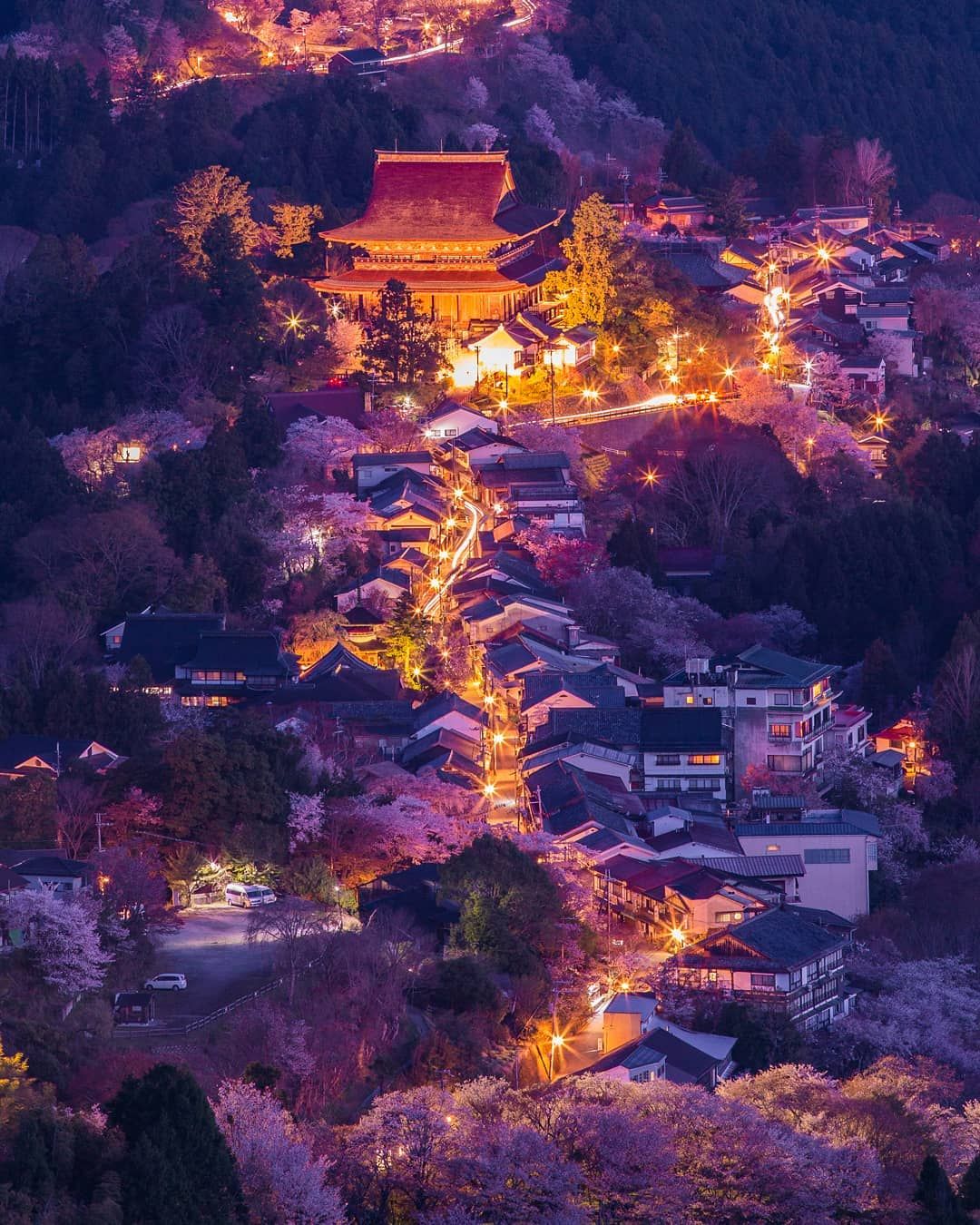 Dormir en el Monte Yoshino. Cerezos en flor iluminados (yozakura)