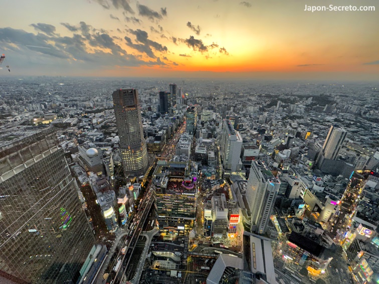 Vistas al atardecer desde el rascacielos Shibuya Sky