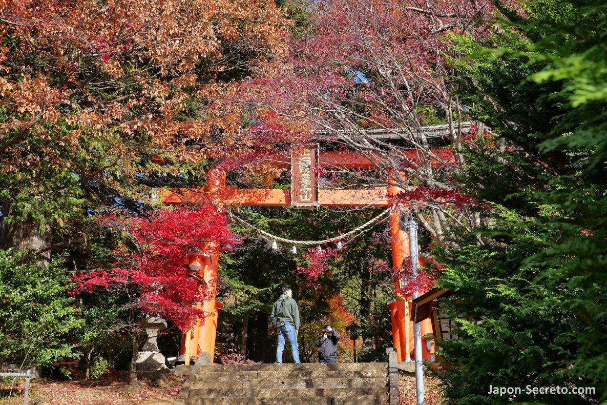 Gran torii a la entrada del santuario Arakura Fuji Sengen (parque Arakurayama Sengen) en Fujiyoshida (Yamanashi)