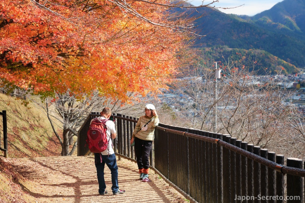 Colores del otoño en los arces (momiji) del santuario Arakura Fuji Sengen (parque Arakurayama Sengen) en Fujiyoshida (Yamanashi)