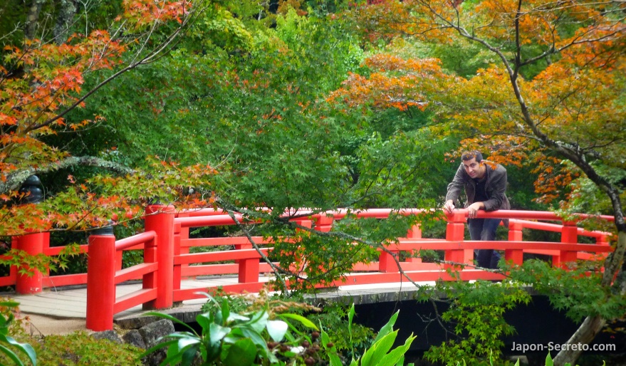 Puente Momijidani y los colores del otoño (isla de Miyajima)