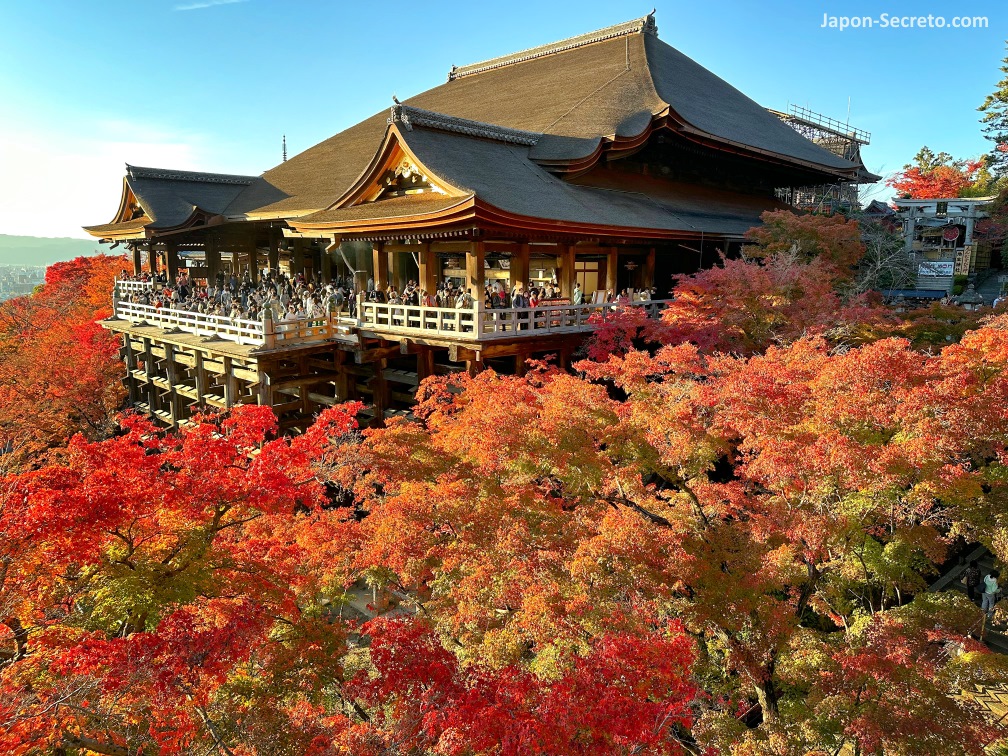 Momiji (colores del otoño) en el templo Kiyomizudera de Kioto en otoño
