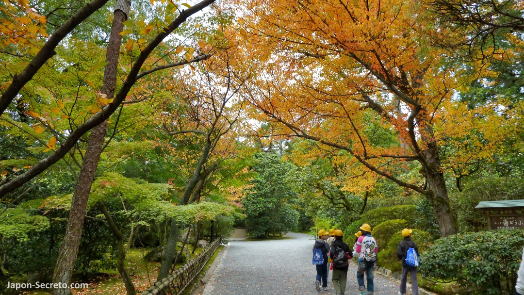 Colores del otoño en el jardín del templo