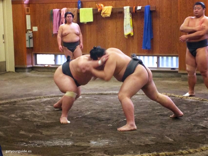 Entrenamiento de sumo en Tokio