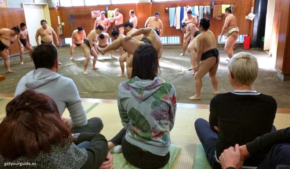 Asistir a un entrenamiento de sumo en una heya (establo) de Tokio