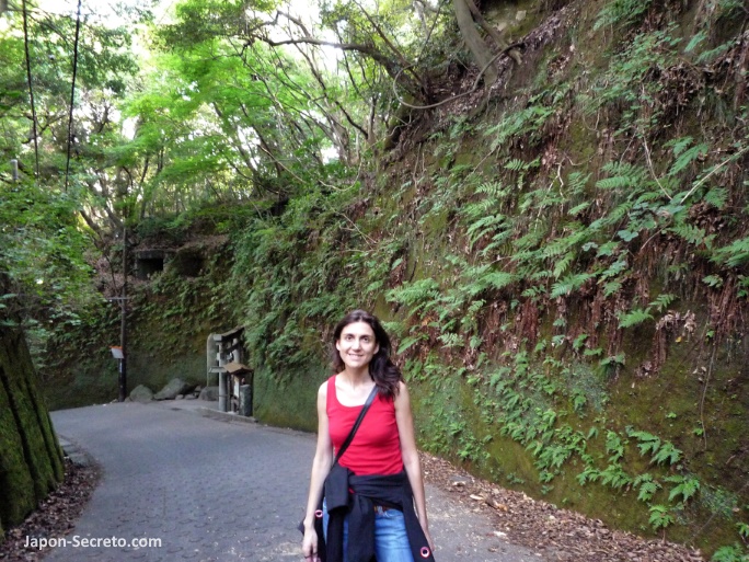 Llegando al santuario Zeniarai Benten (Daibutsu Hiking Course, Kamakura) en 2008