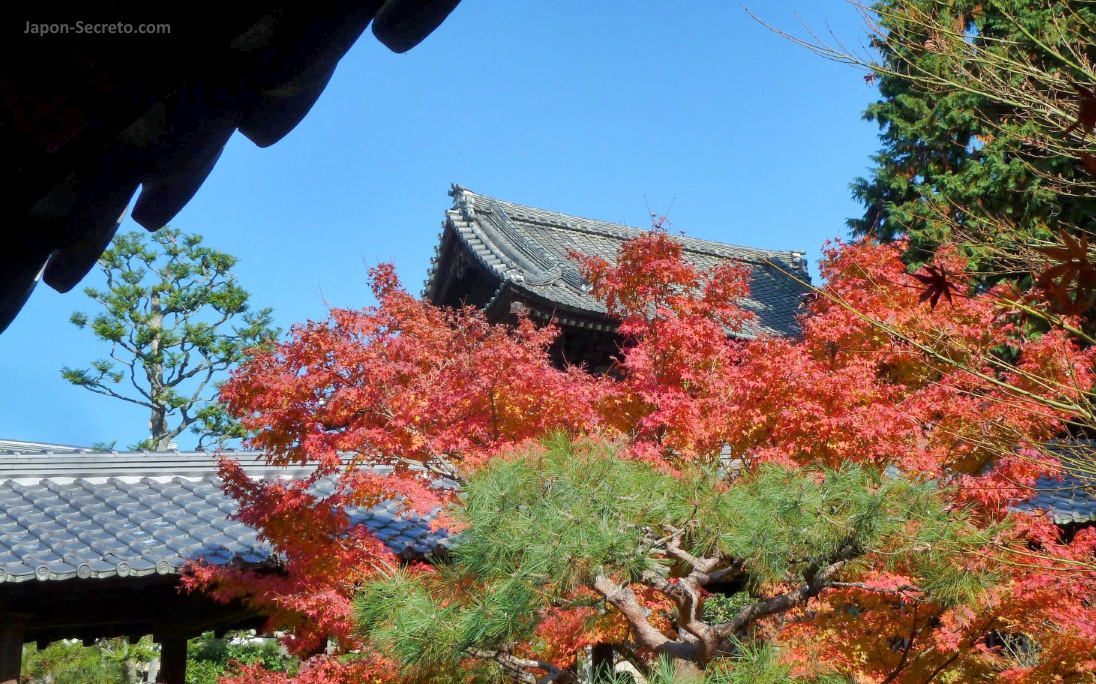 Colores del otoño (momiji) en el templo Tōfukuji (Kioto)