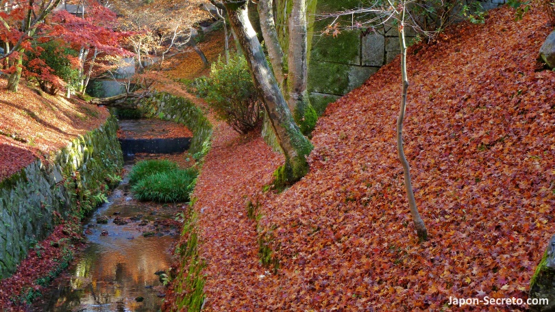 Colores del otoño (momiji) en el templo Tofukuji (Kioto)