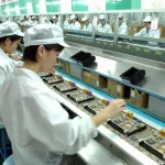 La leyenda urbana de la huelga a la japonesa. Mujeres trabajando en una fábrica de Japón