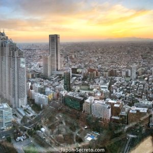 Vistas del barrio de Shinjuku desde el mirador del Edificio del Gobierno Metropolitano de Tokio (mal llamado Ayuntamiento)